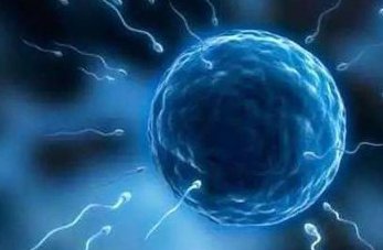 去广州做三代试管婴儿过程要等很久吗？如何提高三代试管婴儿成功率