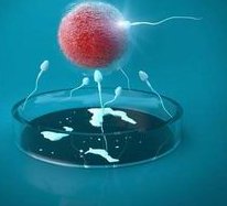 2026年西安三代试管婴儿医院排名公布，帮您选对医院