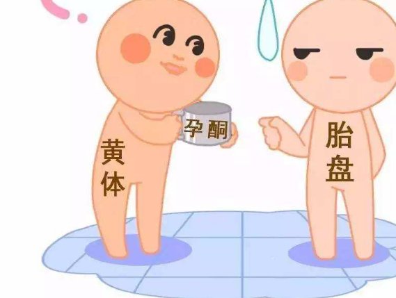 上海第九人民医院三代试管助孕技术解密