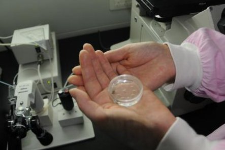 福建省泉州市十大正规助孕机构推荐，2026版排行榜揭晓